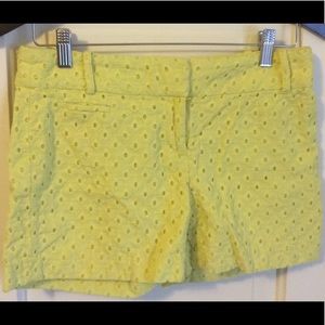 LOFT Riviera Shorts